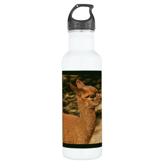 Alpaca Cria - "Papas Überraschung" Trinkflasche (Vorderseite)