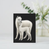 Alpaca & Cria Postkarte (Stehend Vorderseite)
