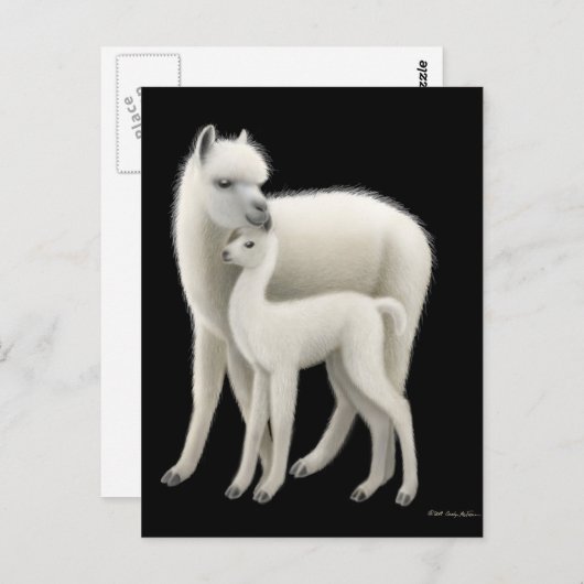 Alpaca & Cria Postkarte (Vorne/Hinten)