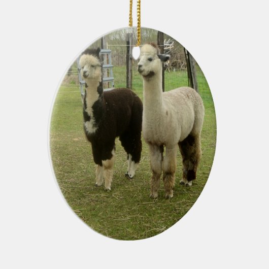 Alpaca Duo Keramikornament (Rechts)