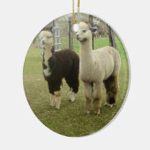 Alpaca Duo Keramikornament (Links)