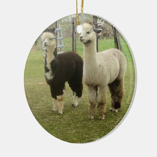 Alpaca Duo Keramikornament (Links)