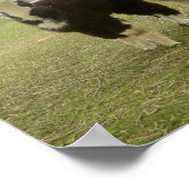 Alpaca Duo Poster (Ecke)