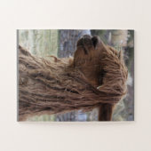 ALPACA EASY JIGSAW PUZZLE (Horizontal)