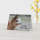 Alpaca Eating Hay Animal Foto Birthday Karte (Gelbe Blume)
