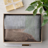 Alpaca Eating Hay Animal Foto Seidenpapier (Geschenk)