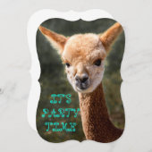 Alpaca Einladung (Vorne/Hinten)