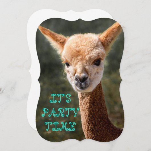 Alpaca Einladung (Vorne/Hinten)