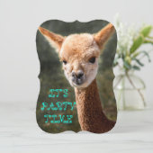 Alpaca Einladung (Stehend Vorderseite)
