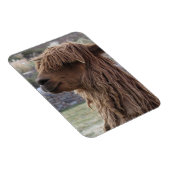 ALPACA FLEXIBLES MAGNET (Rechte Seite)