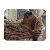 ALPACA FLEXIBLES MAGNET (Horizontal)