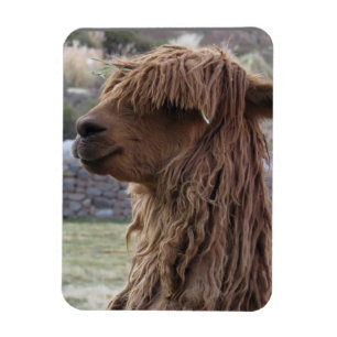 ALPACA FLEXIBLES MAGNET