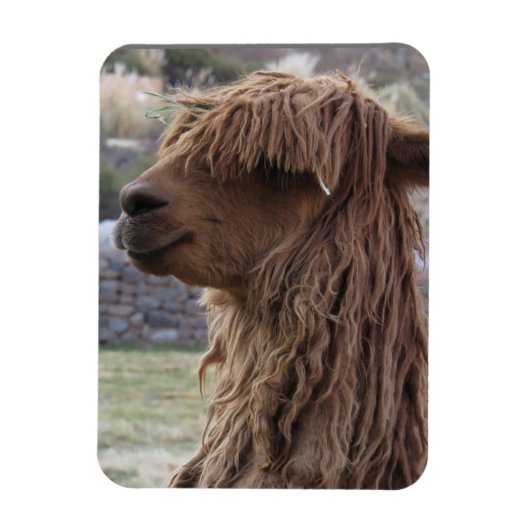 ALPACA FLEXIBLES MAGNET (Vertikal)