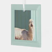 Alpaca Foto Ornament Aus Glas (Vorderseite links)