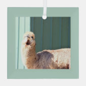 Alpaca Foto Ornament Aus Glas (Rückseite)