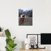 Alpaca Foto Poster (Heimbüro)