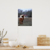 Alpaca Foto Poster (Küche)