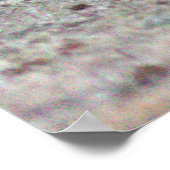 Alpaca Foto Poster (Ecke)