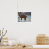 Alpaca Foto Poster (Küche)