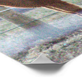 Alpaca Foto Poster (Ecke)