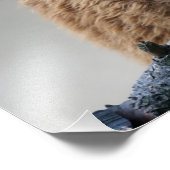 Alpaca Fotodruck (Ecke)