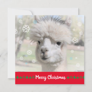 Alpaca Frohe Weihnachtsgrüßkarte Karte