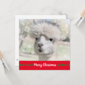 Alpaca Frohe Weihnachtsgrüßkarte Karte (Vorderseite/Rückseite Beispiel)