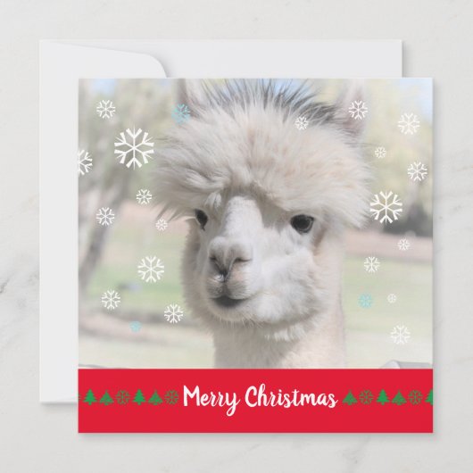 Alpaca Frohe Weihnachtsgrüßkarte Karte (Vorderseite)