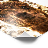 Alpaca Full Faces Fotodruck (Ecke)