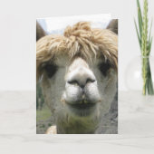 ALPACA FUNNY BIRTHDAY CARD KARTE (Vorderseite)