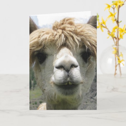 ALPACA FUNNY BIRTHDAY CARD KARTE (Gelbe Blume)