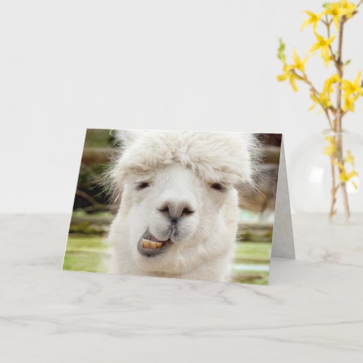 Alpaca Funny Face Karte (Gelbe Blume)