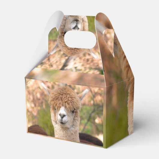 Alpaca-Geschenkboxen Geschenkschachtel (Rückseite)