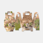 Alpaca-Geschenkboxen Geschenkschachtel (Ungefaltet)