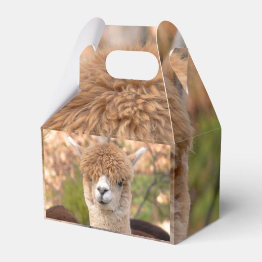 Alpaca-Geschenkboxen Geschenkschachtel (Vorderseite)