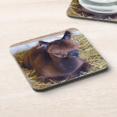 Alpaca Getränkeuntersetzer (Linke Seite)