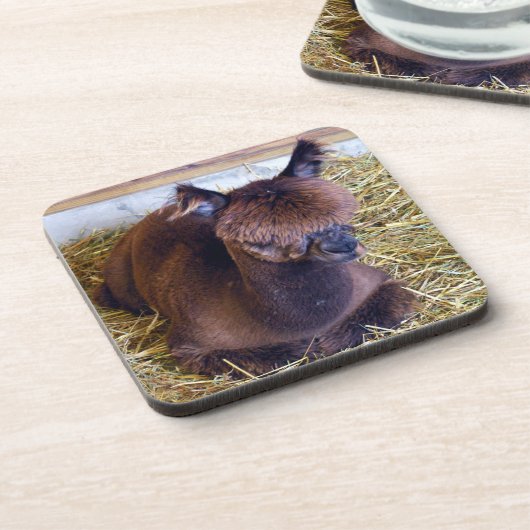 Alpaca Getränkeuntersetzer (Linke Seite)