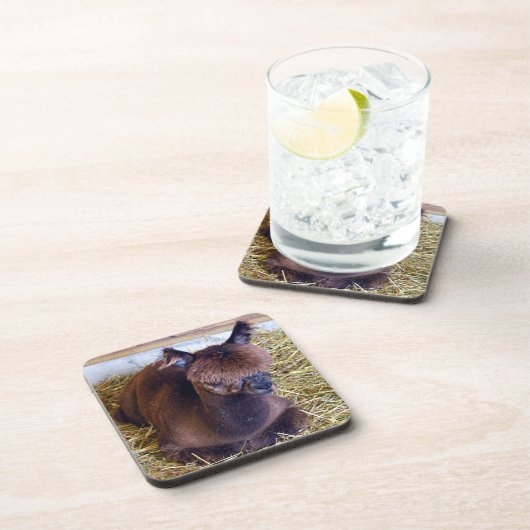 Alpaca Getränkeuntersetzer (Rechte Seite)