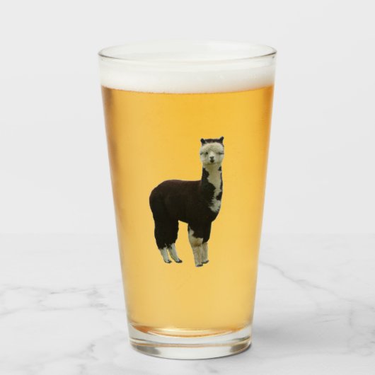 Alpaca Glas (Vorne (Gefüllt))