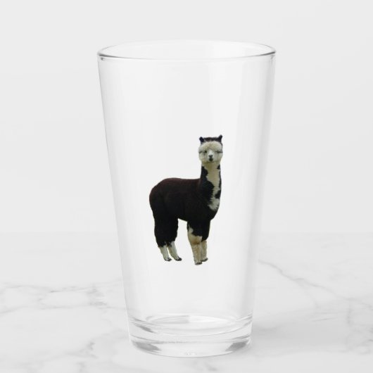 Alpaca Glas (Vorderseite)