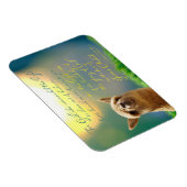 Alpaca Gold Aquamarine Bibel Verse Foto Magnet (Rechte Seite)