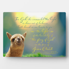 Alpaca Gold Aquamarines Biokonzept Easel Plaque Fotoplatte