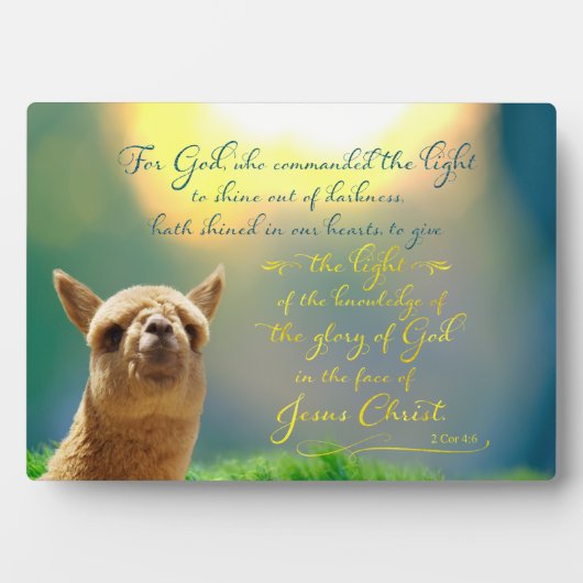 Alpaca Gold Aquamarines Biokonzept Easel Plaque Fotoplatte (Vorderseite)