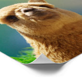 Alpaca Gold Aquamarines Biokonzept Poster (Ecke)