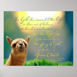 Alpaca Gold Aquamarines Biokonzept Poster