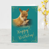Alpaca Gold Hay Aquamarine Geburtstagskarte Karte (Gelbe Blume)