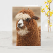 Alpaca Grußkarte Karte (Gelbe Blume)
