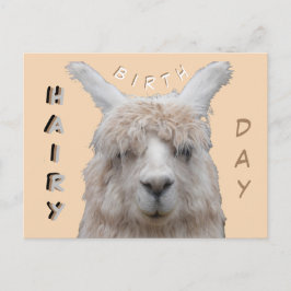 Alpaca Hairy Birthday Postcard Postkarte