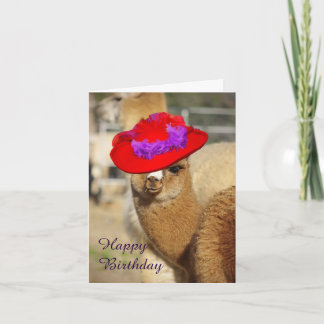 Alpaca Happy Birthday Cards Karte