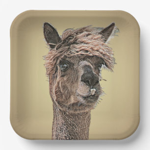 Alpaca Hello - Paper Plate Pappteller